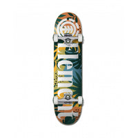 Element Skateboards