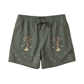 Roark Shorey Boardshorts