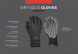 Xcel 5MM Five Finger Glove